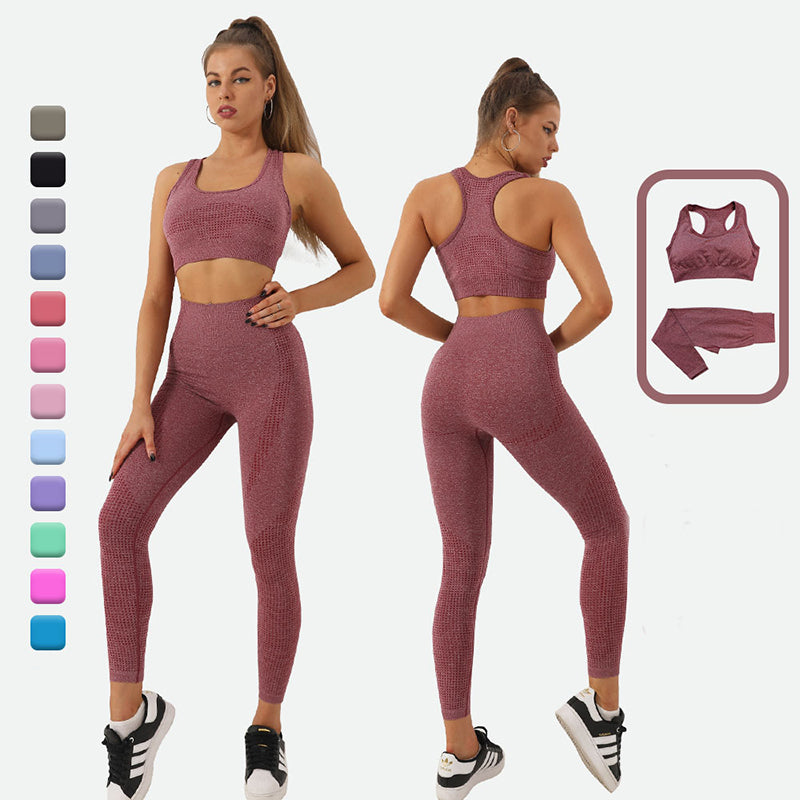 2PCS Seamless Yoga Set Women Tracksuit High Waist Leggings Workout Sportswear Gym Clothing Fitness Crop Top Sports Suits Gym Set